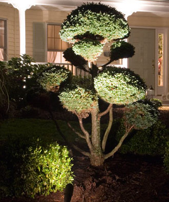 landscape lighting oakville